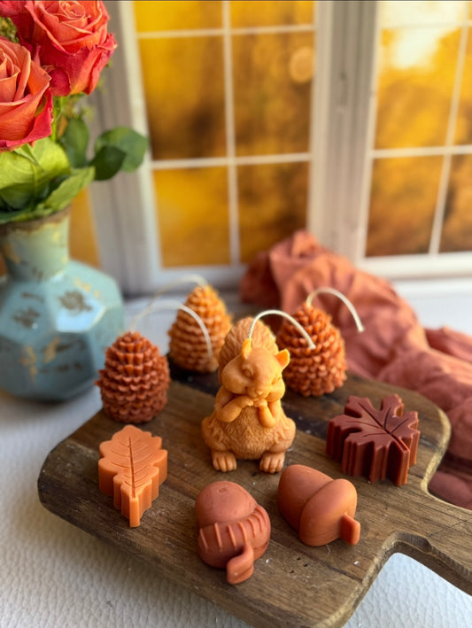 Our cute squirrel 🐿️ candle